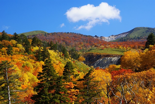 画像: ＜登山初級Ｂ（縦走）＞『みちのくの名湯・後生掛温泉宿泊！紅葉の八幡平・茶臼岳　焼山縦走　2日間』【東京・上野・大宮出発】｜クラブツーリズム
