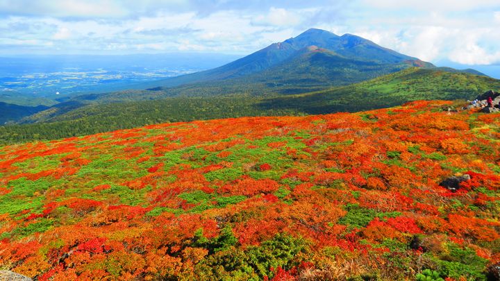 画像: 自然豊かな北東北の名山　八幡平・裏岩手｜クラブツーリズム