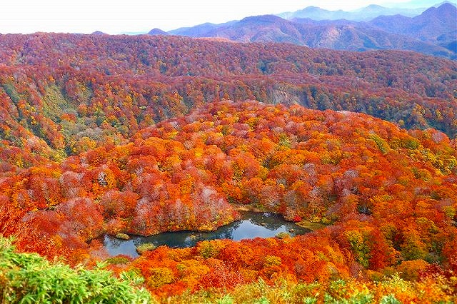 画像: ＜登山中級B（！/縦走）＞『出羽富士と称される東北の名峰へ　錦秋の鳥海山　2日間』【羽田空港出発】｜クラブツーリズム