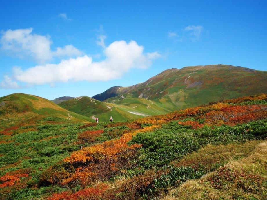 画像: 信仰息づく出羽の霊峰　月山・鳥海山｜クラブツーリズム