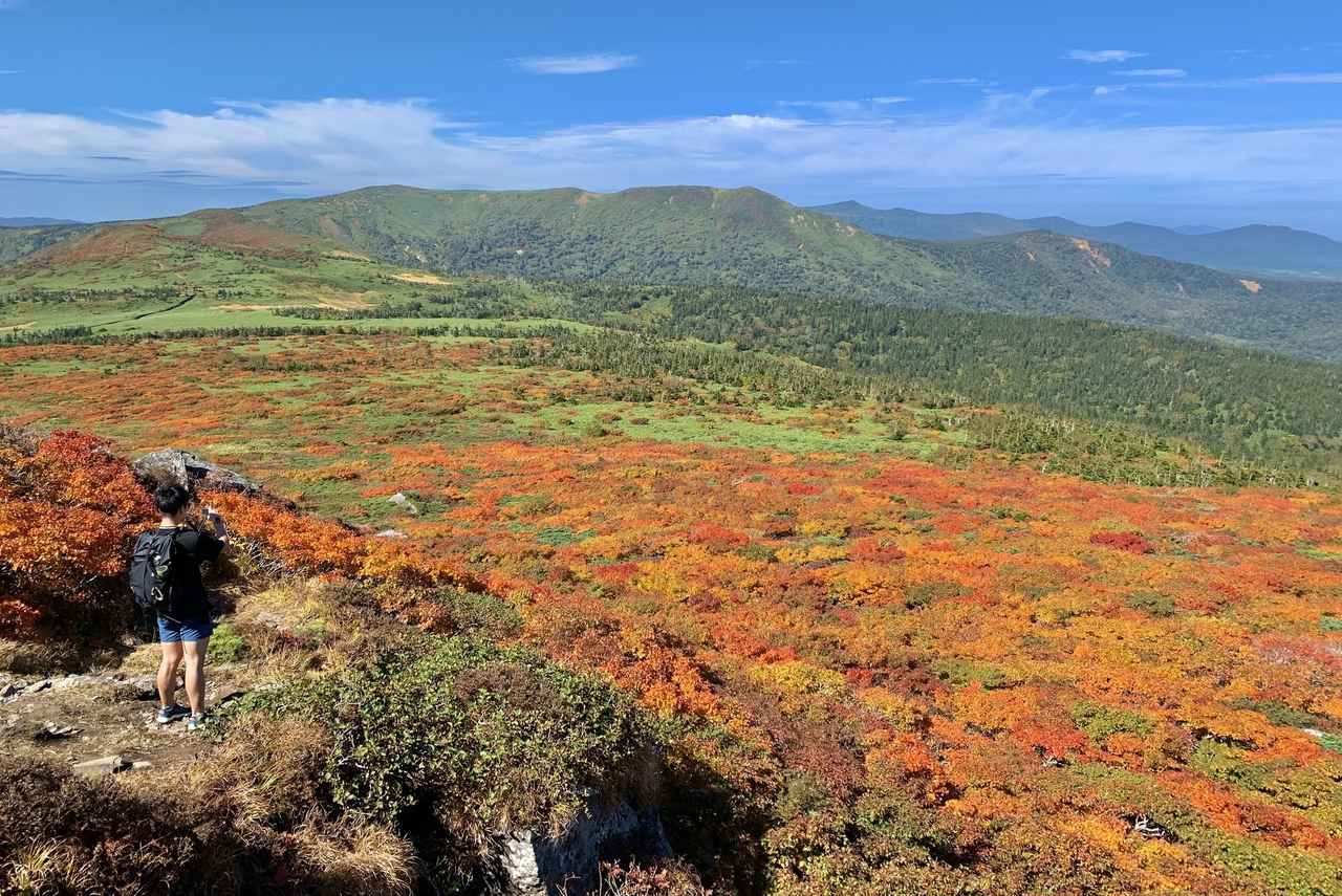 画像: 山頂の下に広がる紅葉