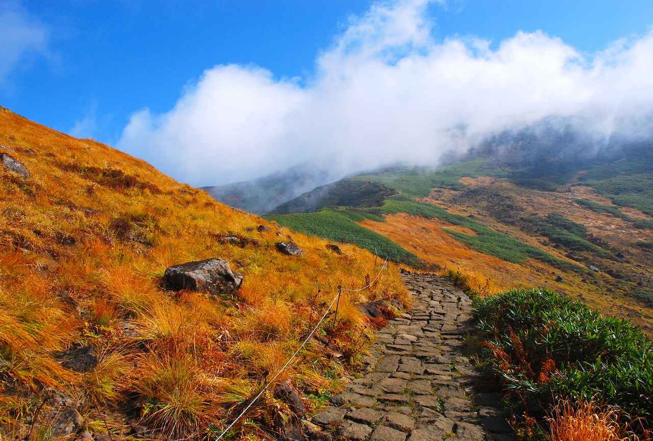 画像: 月山の草紅葉