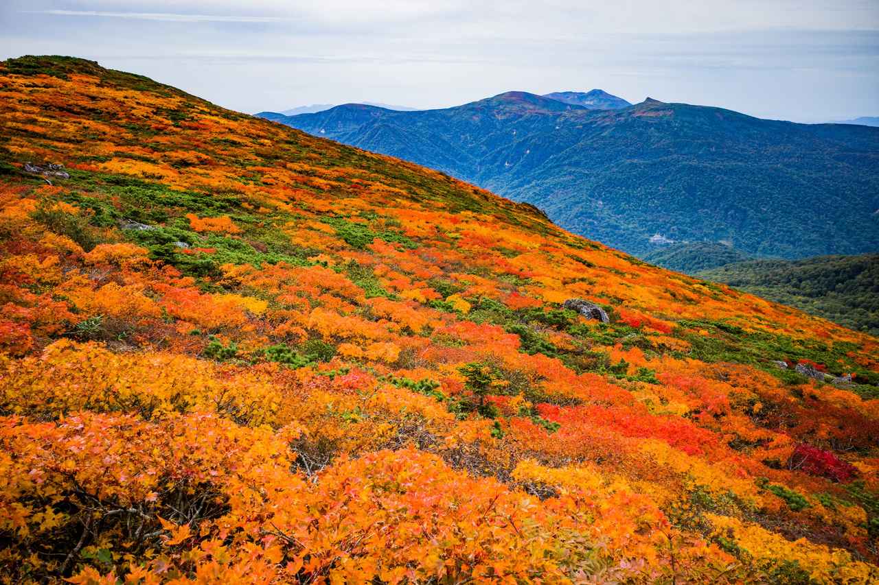 画像: 三ツ石山