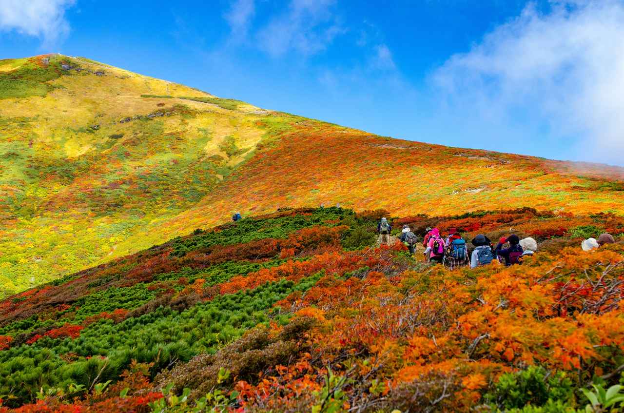 画像2: 東北の紅葉登山おすすめ11選｜栗駒山・八甲田山など紅葉の名山を紹介