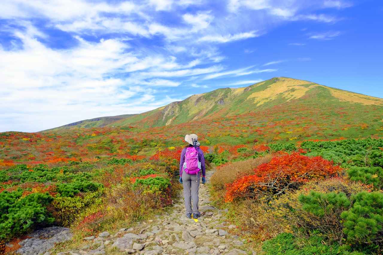 画像3: 東北の紅葉登山おすすめ11選｜栗駒山・八甲田山など紅葉の名山を紹介