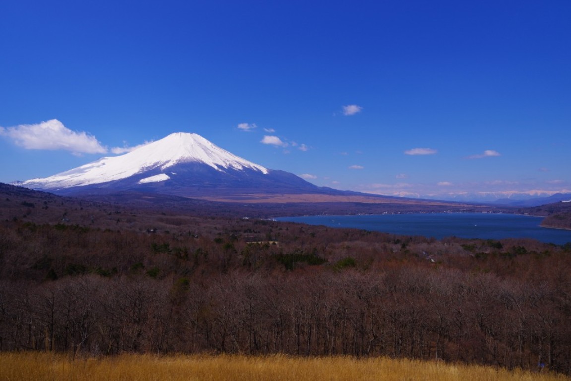 画像: ＜登山中級A（縦走）＞『佐藤威行ガイドと行く山旅　箱根ぐるっと②三国山』【御殿場駅集合】｜クラブツーリズム
