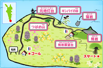 画像1: www.club-t.com