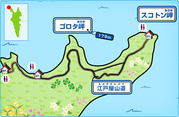 画像3: www.club-t.com