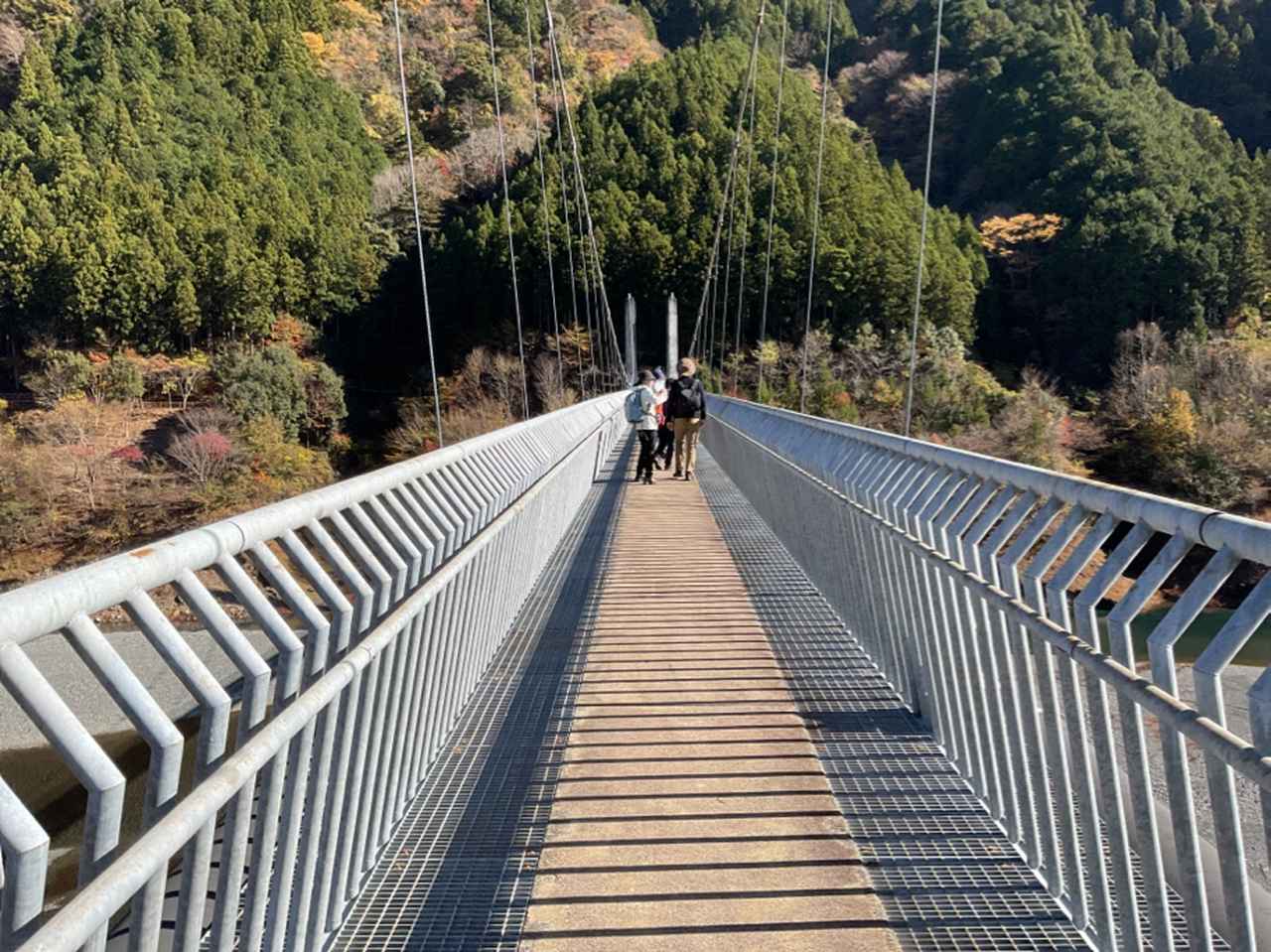 画像: 接岨大吊橋 （添乗員撮影／25.11）