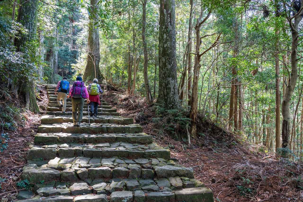 画像: 歩いてめぐる世界遺産　神秘の熊野古道・中辺路へ ＜ハイキング・ウォーキングの旅＞ - クラブログ ～スタッフブログ～｜クラブツーリズム
