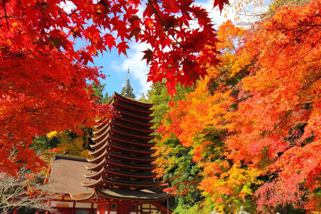 画像: 談山神社（イメージ）※紅葉の見ごろ：例年11月中旬～12月上旬