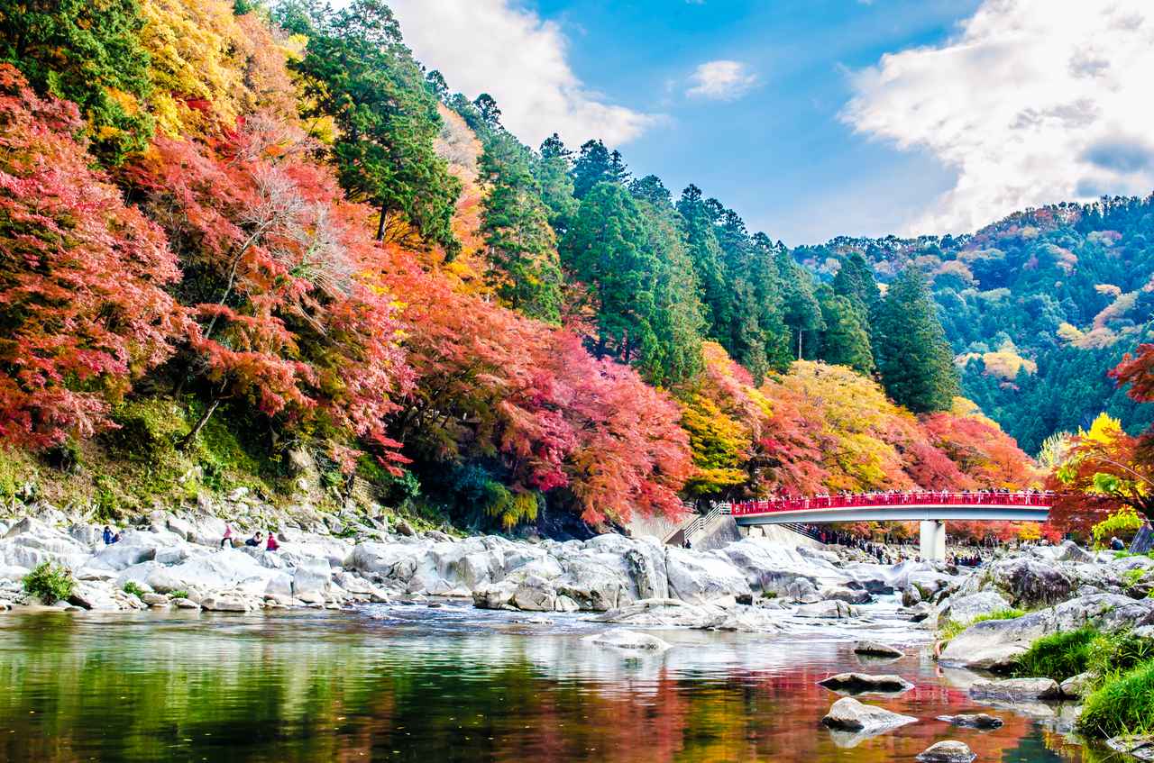 画像: 香嵐渓（イメージ）※紅葉の見頃：例年11月上旬～11月下旬