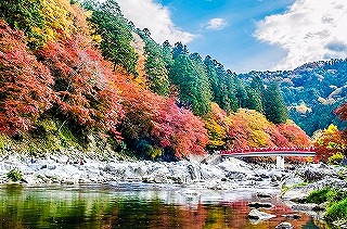 画像: ＜ハイク中級＞『案内人と馬籠・妻籠ハイキング　香嵐渓と小原四季桜・紅葉と桜の競演　2日間』【千葉・船橋・錦糸町・新宿・立川・八王子出発】｜クラブツーリズム