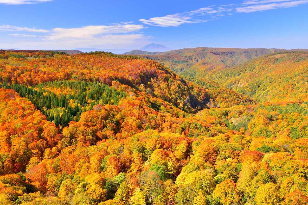 画像: 東北の紅葉登山おすすめ11選｜栗駒山・八甲田山など紅葉の名山を紹介 - クラブログ ～スタッフブログ～｜クラブツーリズム