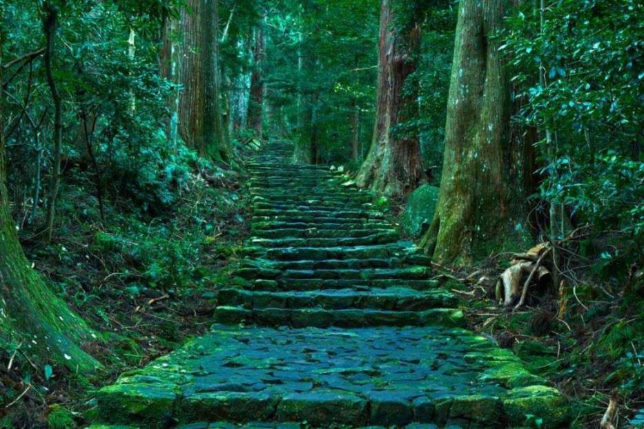 画像1: ＜ハイク中級＞『世界遺産・熊野古道をあるく　高野山・熊野三山・中辺路ハイキング　3日間』【選べる出発地】｜クラブツーリズム
