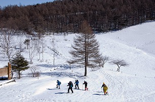 画像2: 【雪山早期予約特典コース】＜スノーハイク入門＞『スノーシュー・軽アイゼンレンタル付き！雪山あるき体験 in　入笠山　日帰り』【新宿・立川・八王子出発】｜クラブツーリズム
