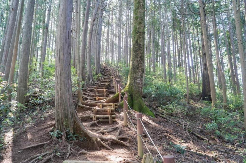 画像: 【女性限定】＜登山初級Ｂ（縦走）＞『縦走シリーズ第1回　青梅丘陵』【JR軍畑駅集合】　※継続条件あり｜クラブツーリズム