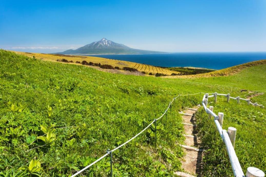 画像: ＜登山初級A/ハイク中級＞『レブン”の名がつく花々が咲き誇る6月～7月にご案内！利尻島と花の浮島・礼文島フラワートレッキング　４日間』【羽田空港出発】｜クラブツーリズム