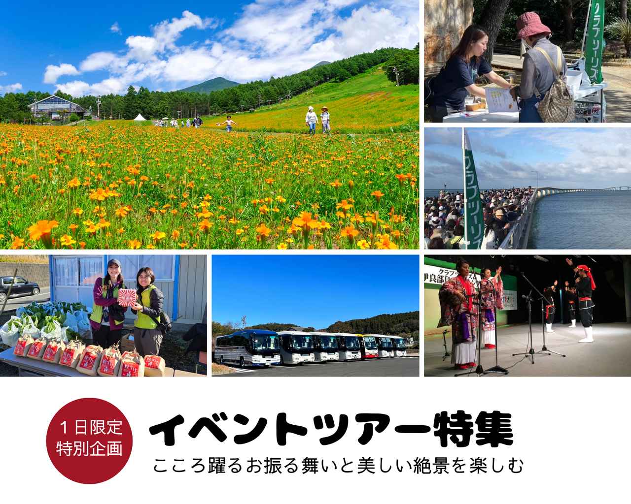 画像: １日限定の特別感！あるくイベントツアー／ハイキング編のご紹介【ハイキング・ウォーキングの旅】 - クラブログ ～スタッフブログ～｜クラブツーリズム