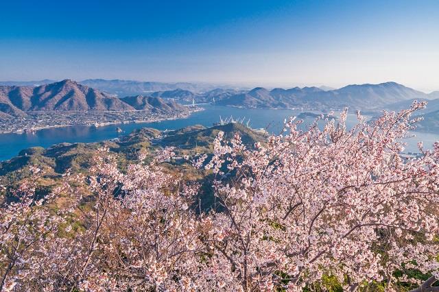 画像: ＜ハイク中級＞『個人では行きにくい桜名所を厳選！瀬戸内ぐるり桜ハイキング　3日間』【羽田出発】｜クラブツーリズム