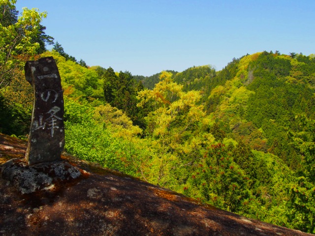画像: <登山初級B(!/縦走)>『第5回 秩父あるく祭 秋の秩父を歩いて楽しもう 釜ノ沢五峰』【池袋出発】|クラブツーリズム