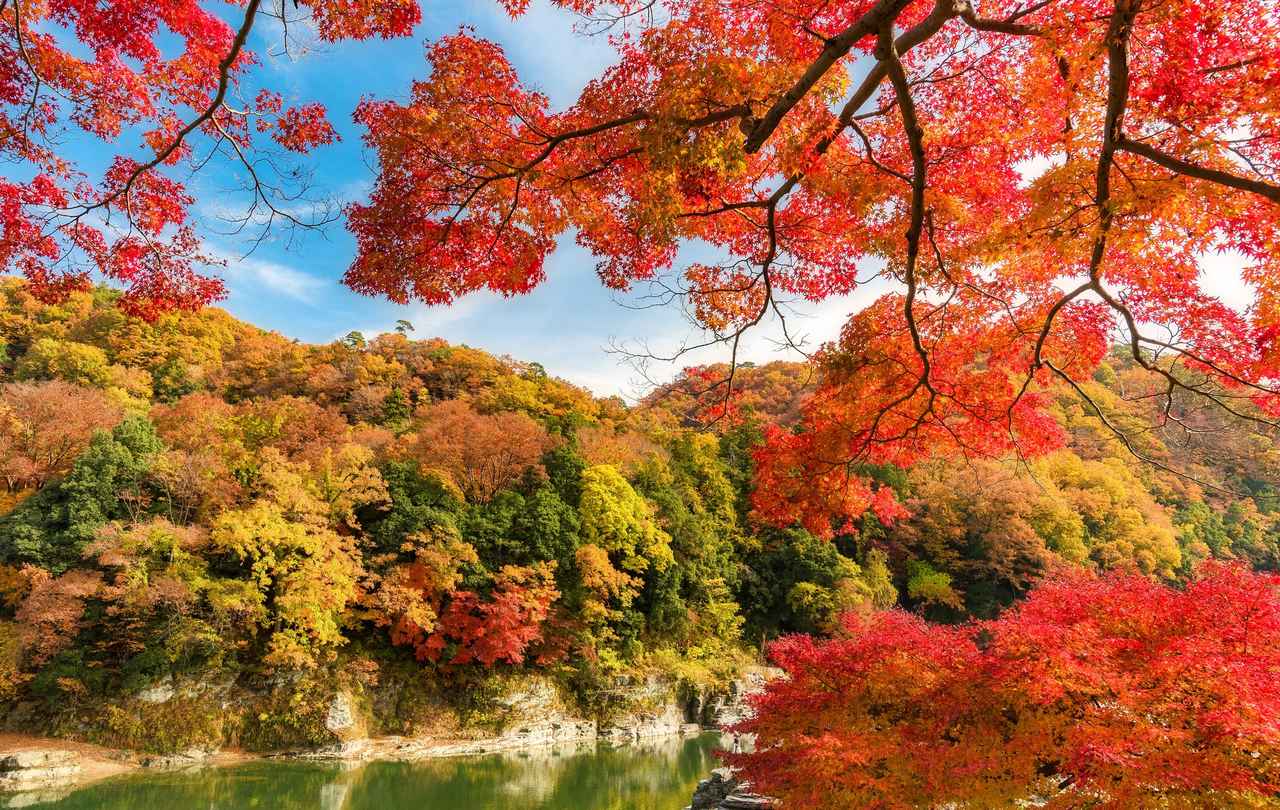 画像: 長瀞の紅葉(イメージ)