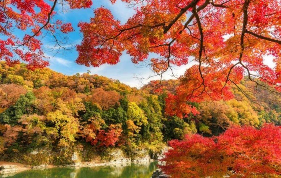 画像: <ハイク入門>『第5回秩父あるく祭 長瀞町・宝登山と長瀞の紅葉』【西武池袋出発】|クラブツーリズム