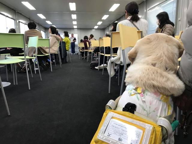 画像: (写真)ふむふむ、なるほど~。