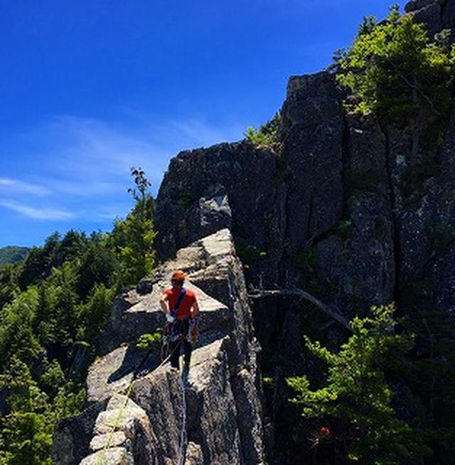 画像: 【登山の旅】山の自然観察 山の樹木の見分け方