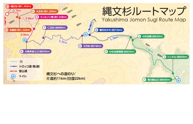 画像: 屋久島縄文杉までのルート