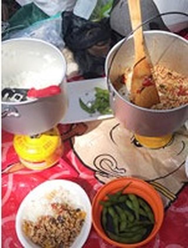 画像: 山ごはんをつくろう(イメージ)