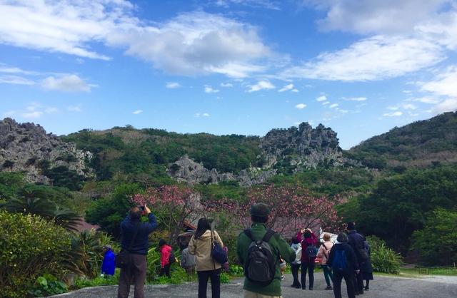 画像: 亜熱帯の木々に囲まれた巨大な岩山は圧巻です