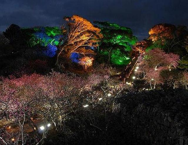 画像: 幻想的なライトアップの様子(2018年2月上旬)