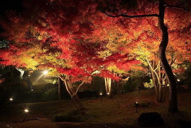 画像: 庭園