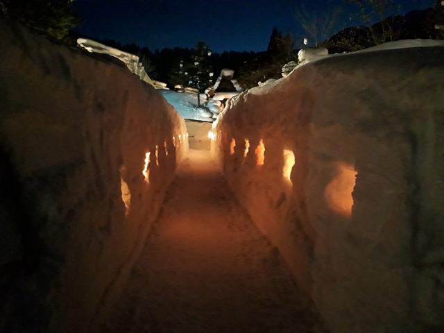 画像: 灯りの回廊の様子(積雪状況により変わります)