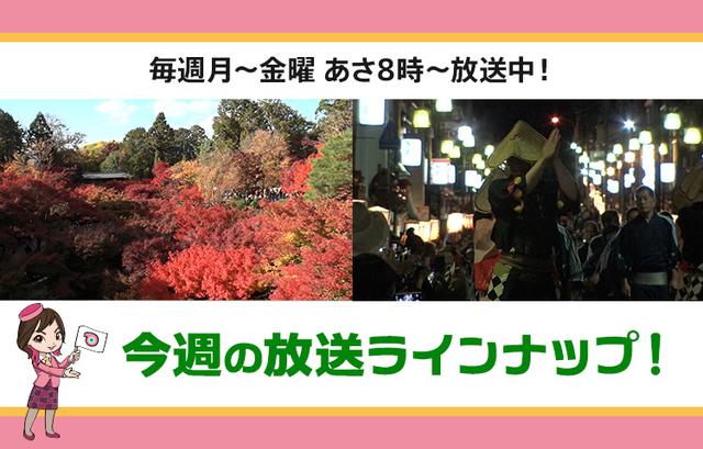画像: 【7月22日更新】テレビ東京「教えて！ツアーの達人」】今週の放送スケジュール