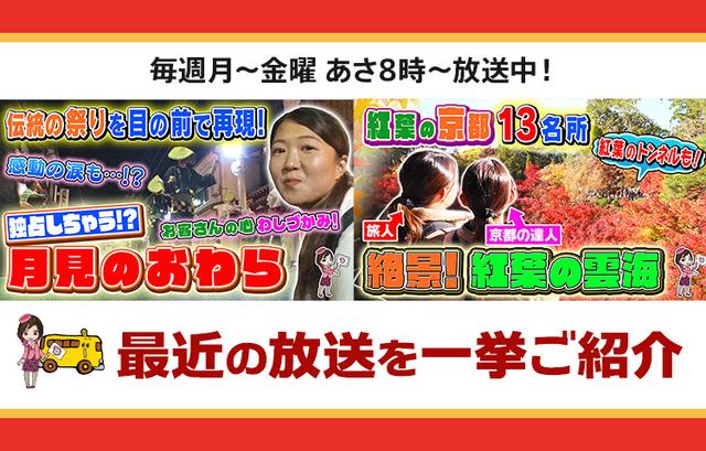 画像: 【7月30日更新】テレビ東京「教えて!ツアーの達人」で放送したツアー