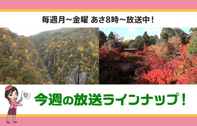 画像: 【9月1日更新】テレビ東京「教えて！ツアーの達人」】今週の放送スケジュール