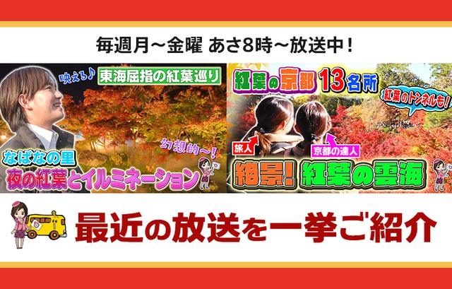 画像: 【9月10日更新】テレビ東京「教えて！ツアーの達人」で放送したツアー