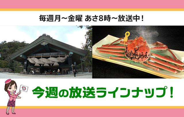 画像: 【11月3日更新】テレビ東京「教えて！ツアーの達人」】今週の放送スケジュール