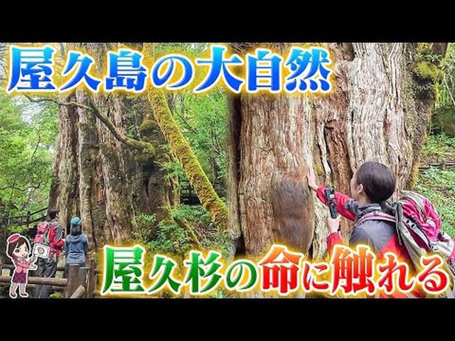 画像2: - YouTube youtu.be