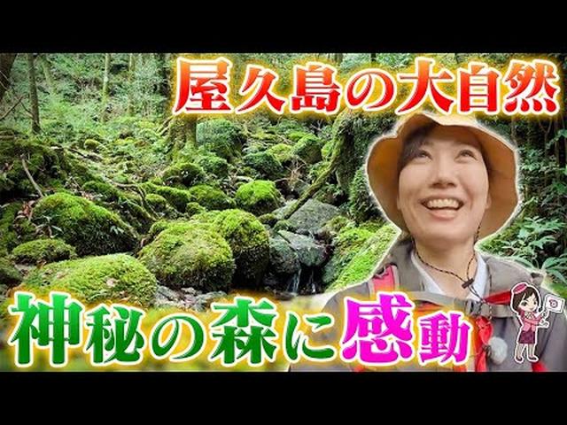 画像1: - YouTube youtu.be