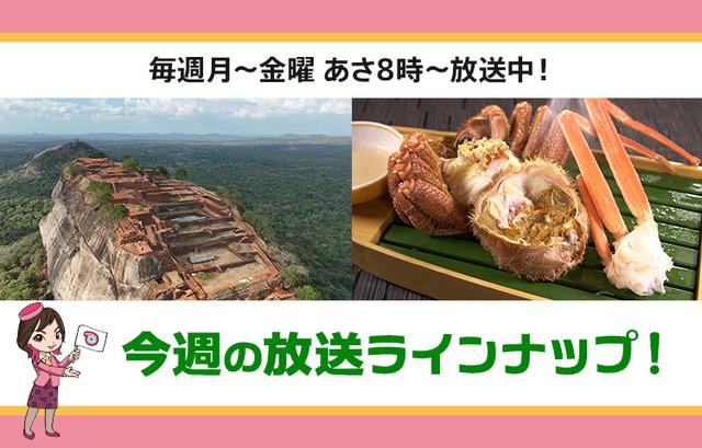 画像: 【12月1日更新】テレビ東京「教えて！ツアーの達人」】今週の放送スケジュール