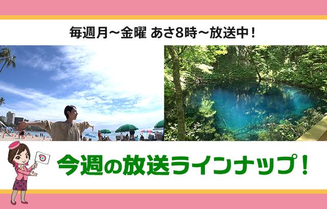 画像: 【3月9日更新】テレビ東京「教えて!ツアーの達人」】今週の放送スケジュール