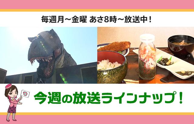画像: 【3月16日更新】テレビ東京「教えて！ツアーの達人」】今週の放送スケジュール