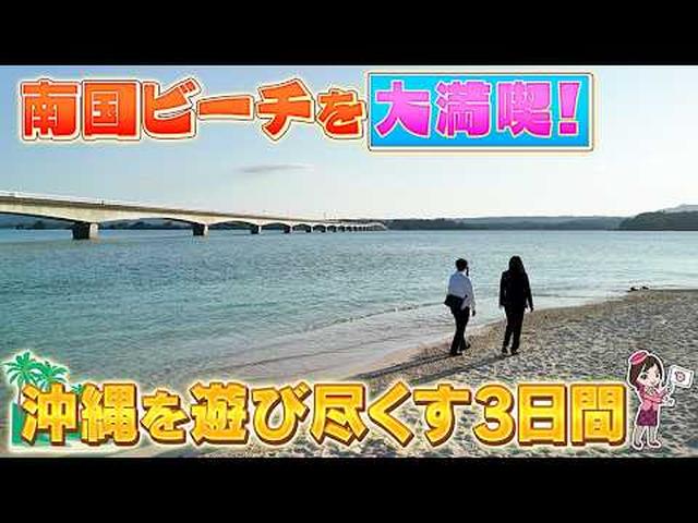 画像: 世代を超えて楽しめる！ジャングリア沖縄と沖縄本島満喫ツアー　森のリゾートホテルに2連泊　後編 youtu.be