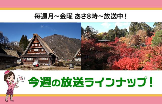 画像: 【6月8日更新】テレビ東京「教えて！ツアーの達人」今週の放送スケジュール