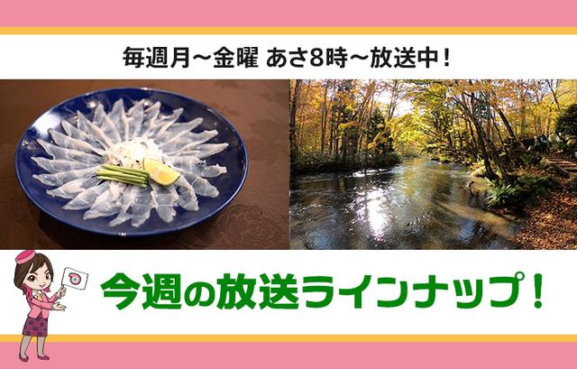画像: 【7月21日更新】テレビ東京「教えて!ツアーの達人」今週の放送スケジュール