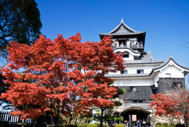 画像: 8月14日(金) おひとり参加でも追加料金無し！愛知と三重の紅葉スポットを一度に満喫！香嵐渓･なばなの里･犬山城とうなぎ･名古屋めし