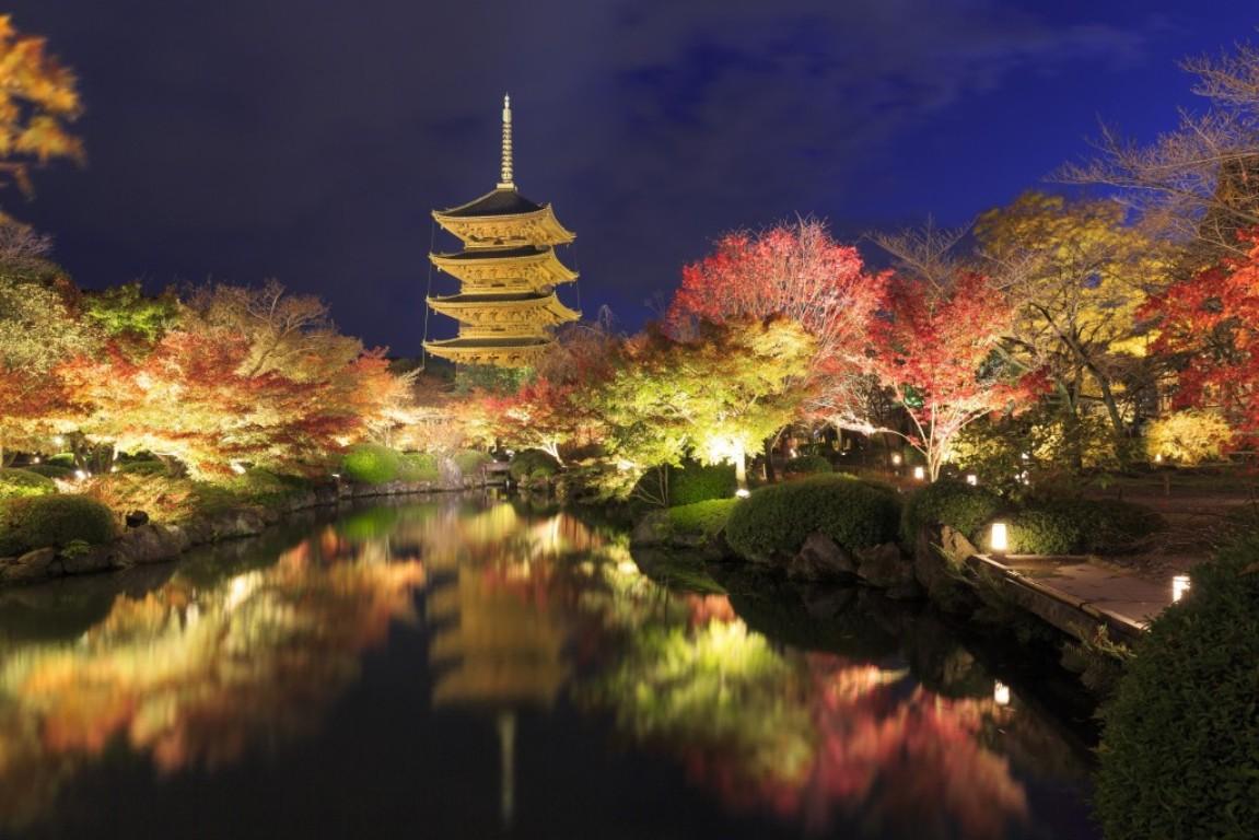 画像: 京都・滋賀の紅葉ツアーはこちら|クラブツーリズム
